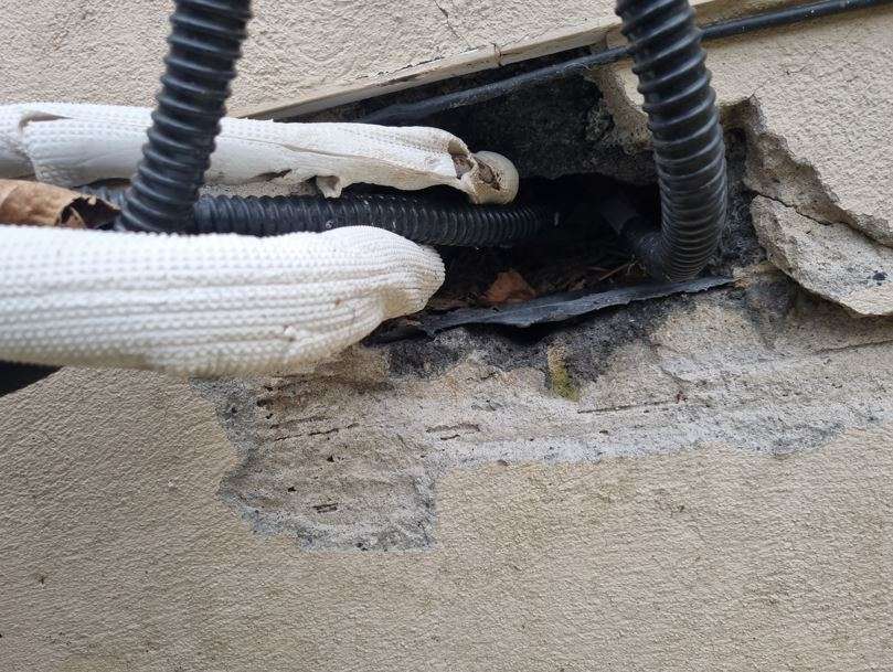 Rat proofing